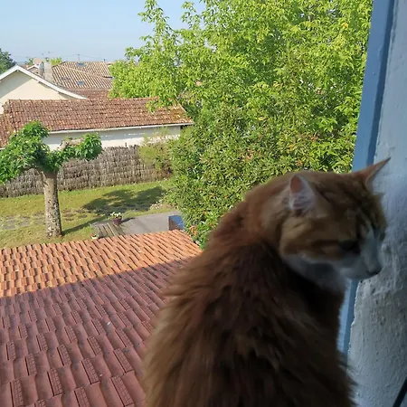 Maison Du Bonheur Lanton