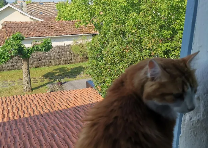 Maison Du Bonheur Lanton